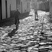 Luz Cardoso Photo 12