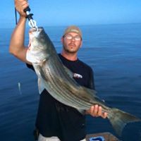 Steven Pickering Photo 14