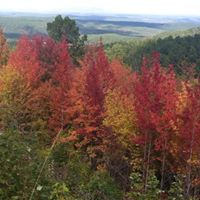 Heather Williamson Photo 31