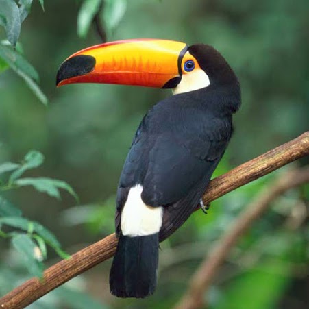 Tabitha Hummer Photo 1