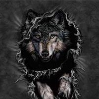 Tammy Stevenson Photo 18