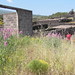 Anita Walls Photo 23