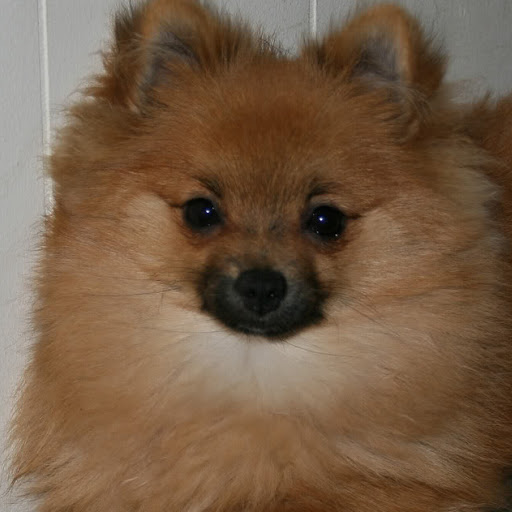 Nancy Nielsen Photo 22