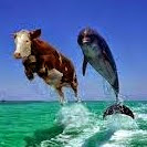 Zachary Rich Photo 17