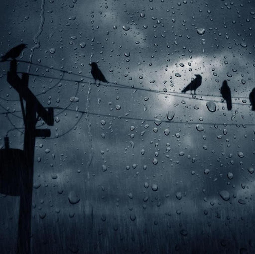 Sarah Hamilton Photo 43