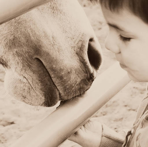 Kim Wheeler Photo 31