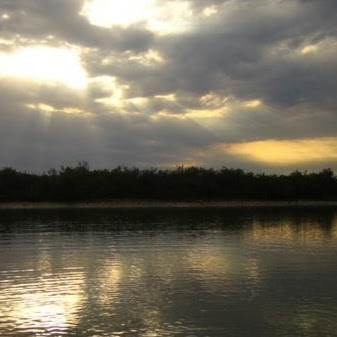 Joe Thompson Photo 6