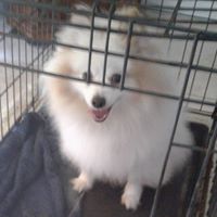 Charles Rohde Photo 9