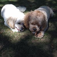 Anna Whelan Photo 13 Anna Whelan Photo 13