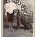 Faye Patterson Photo 13