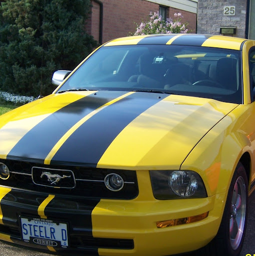 Dan Bartholomew Photo 20