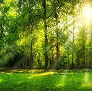 Velma Smith Photo 35