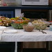 Tonya Lewis Photo 19