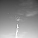 Joseph Grisham Photo 18