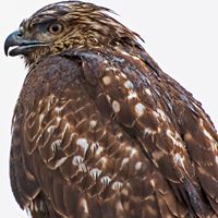 Mark Pfeiffer Photo 30