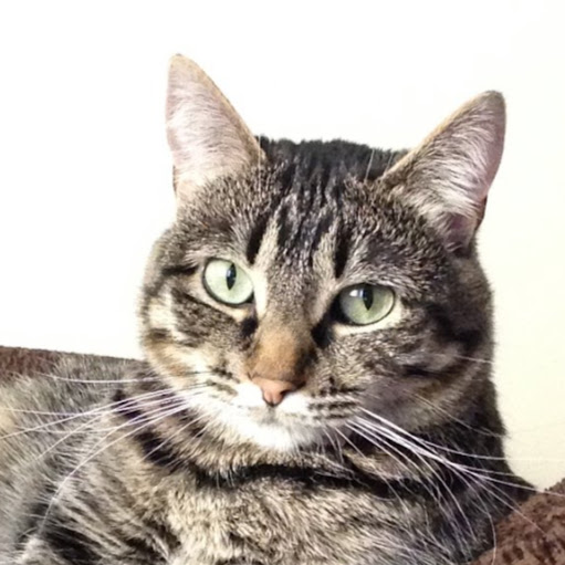 Kathy Jensen Photo 13