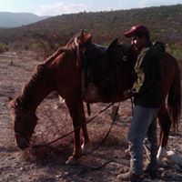 Saul Torres Photo 21