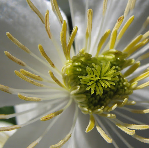 Donna Watson Photo 26
