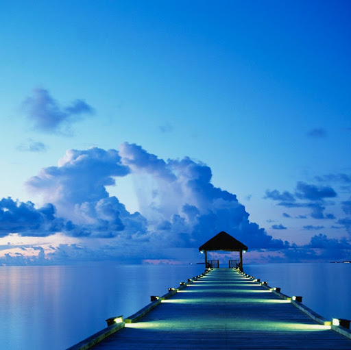 Stephen Lucas Photo 12