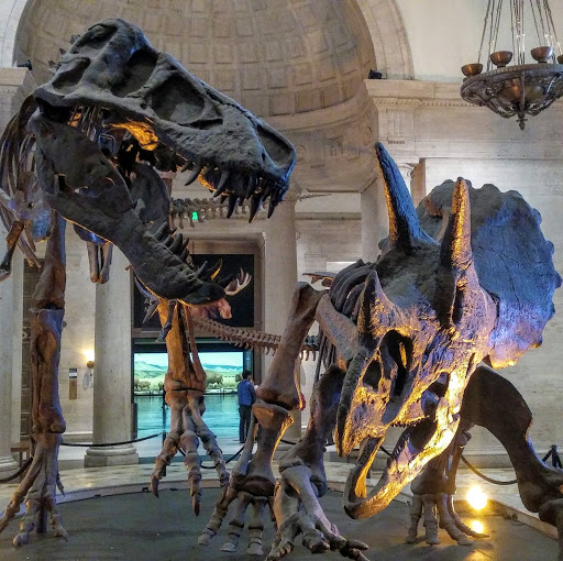 Samuel Hart Photo 27