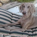 Jennifer Vance Photo 9