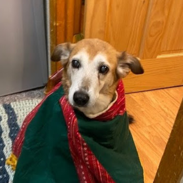 Roberta Gilbert Photo 13