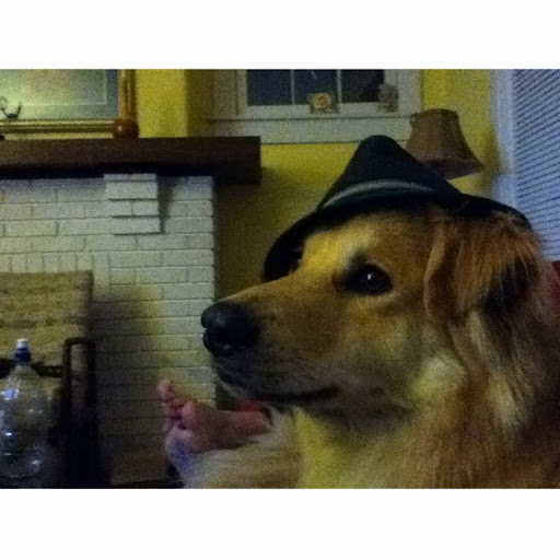 Jacob Johnson Photo 47 Jacob Johnson Photo 47