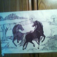 Ken Rasmussen Photo 24