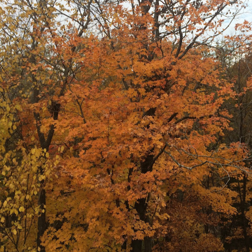 Gayle Osborne Photo 19