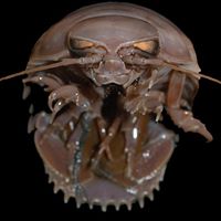 Larry Summers Photo 36 Larry Summers Photo 36