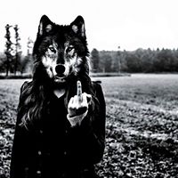 Michelle Gilkey Photo 12