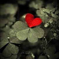 Gina Valentine Photo 38