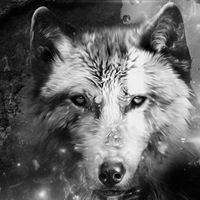 Michelle Kistler Photo 7