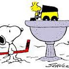 Terry Reese Photo 16