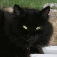 Carole Mcdonald Photo 27