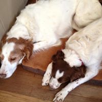 Debra Schuster Photo 21