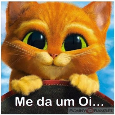 Haroldo Silva Photo 14