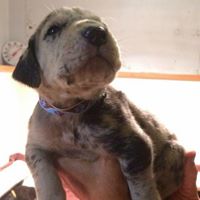 Julie Marquis Photo 21