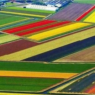 Christine Peng Photo 25