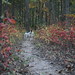 Jeffrey Fell Photo 4