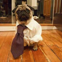 Kevin Willis Photo 14