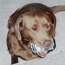 John Cain Photo 17