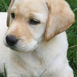 Thomas Swanson Photo 34