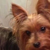 Stephanie Guillot Photo 19