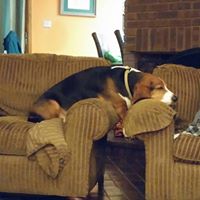 Christine Mccullough Photo 11