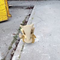 Lawrence Erickson Photo 28