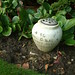 James Pestell Photo 6