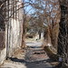 Amanda Roth Photo 20