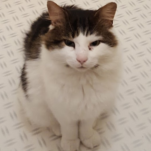 Helen Wright Photo 19