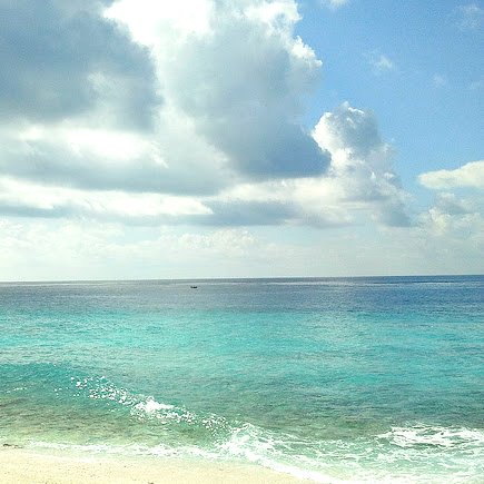 Danny Shields Photo 21